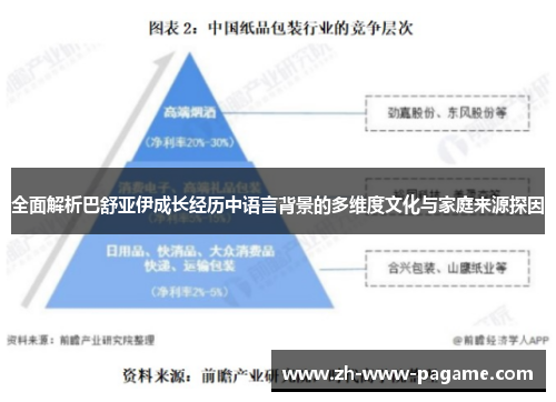 全面解析巴舒亚伊成长经历中语言背景的多维度文化与家庭来源探因