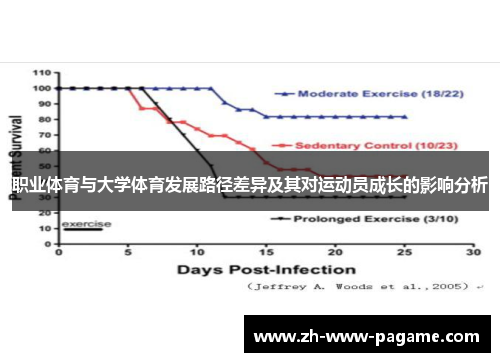 职业体育与大学体育发展路径差异及其对运动员成长的影响分析