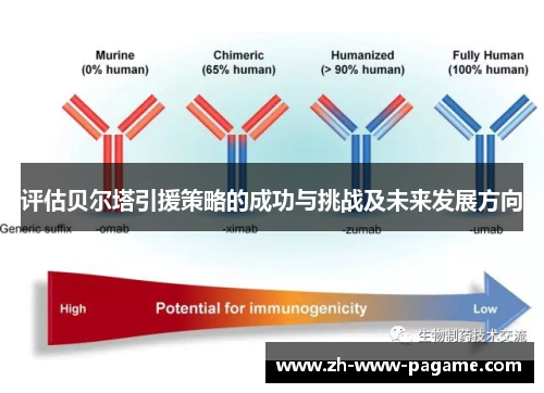 评估贝尔塔引援策略的成功与挑战及未来发展方向